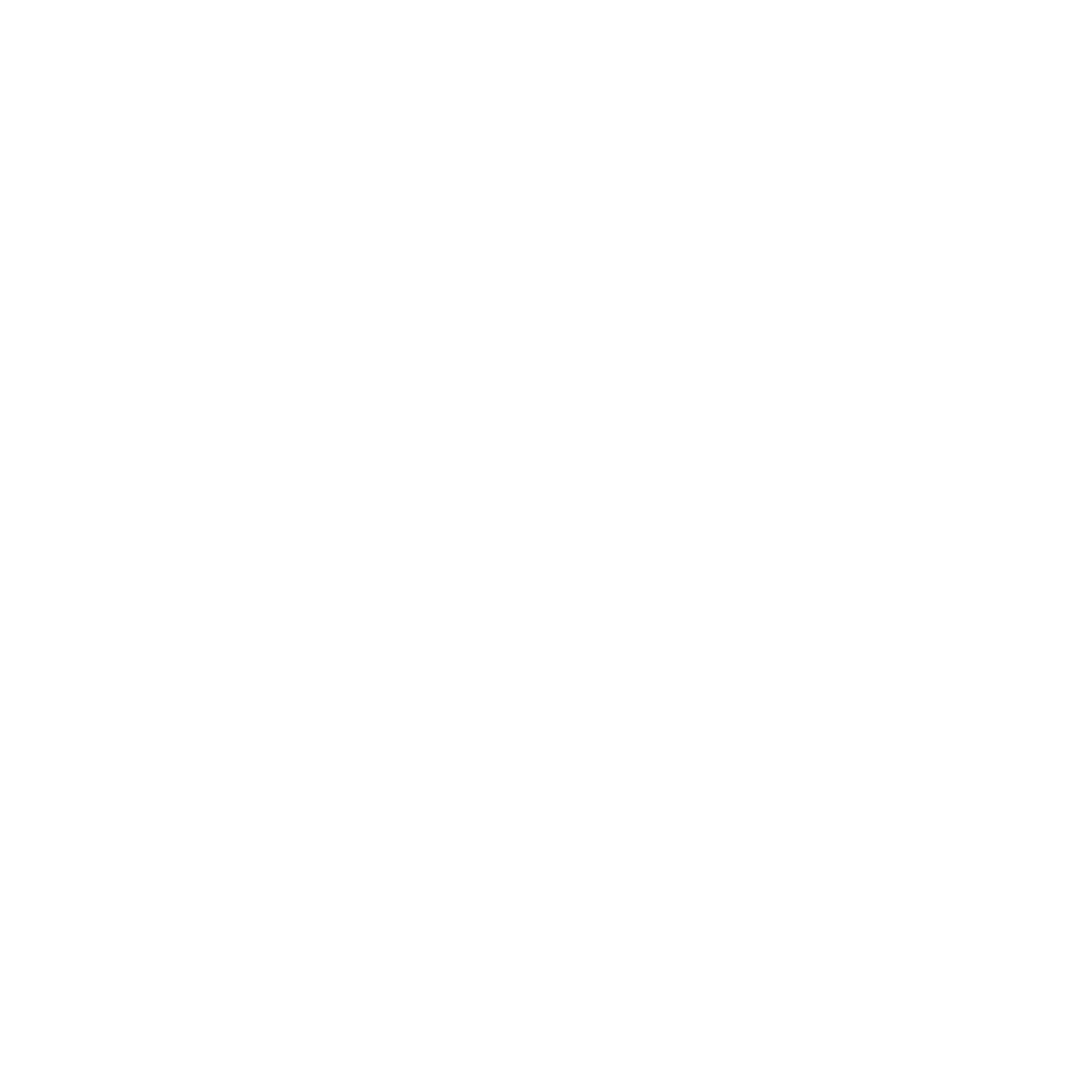 PUNTOFAN
